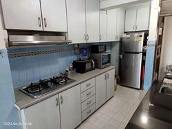Blk 162 Mei Ling Vista (Queenstown), HDB 3 Rooms #570887051